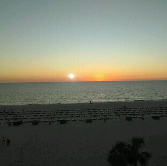 Meet your Posher, Kody - Picture 1 of 1